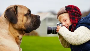 Best Point and Shoot Cameras for Kids in 2025